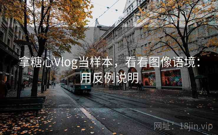 拿糖心Vlog当样本，看看图像语境：用反例说明